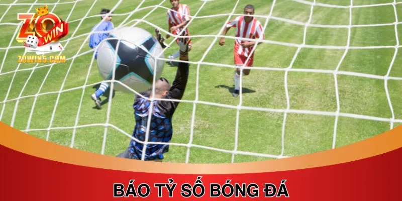 Báo Tỷ Số Bóng Đá - 3+ Trang Uy Tín Cho Tín Đồ Túc Cầu